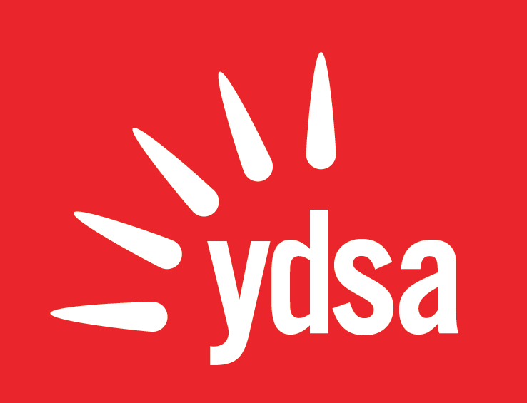 CofC Young Democratic Socialist Logo